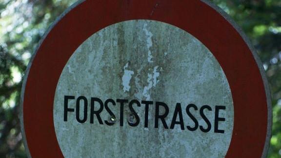 Tödlicher Forstunfall in Pöndorf