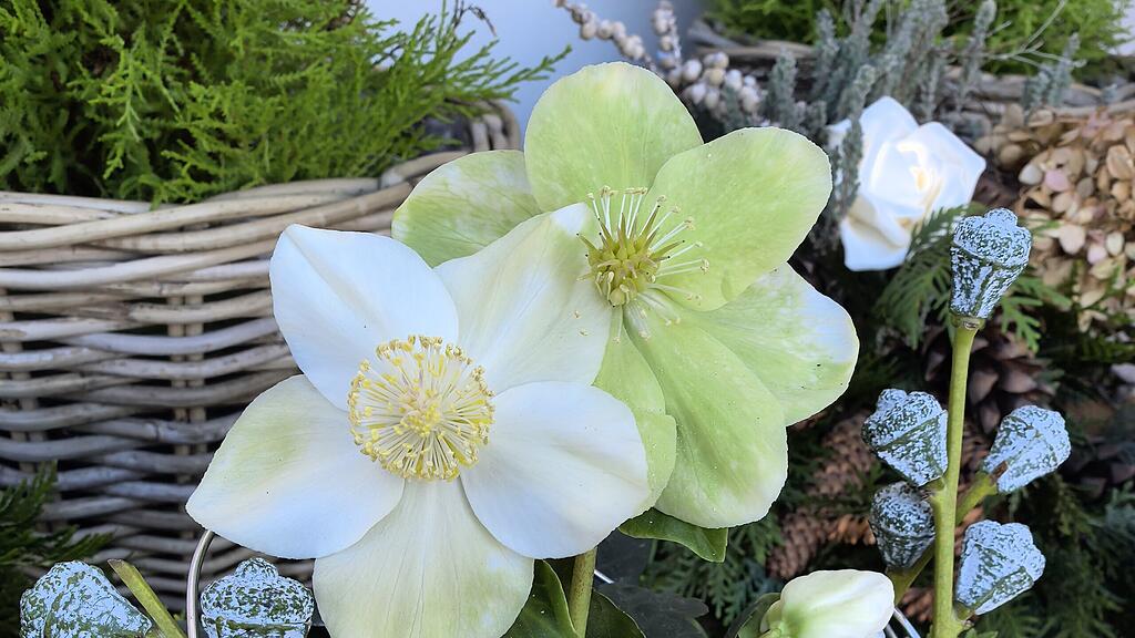 Blumenschmuck für Allerheiligen