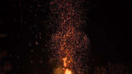 Burning Animal I