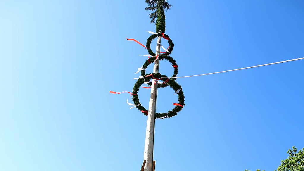 Maibaumaufstellen in Leopoldskron