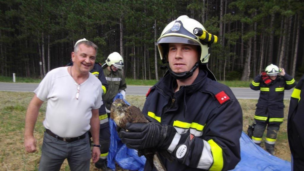 Tierrettung in Neunkirchen: Verletzter Greifvogel geborgen