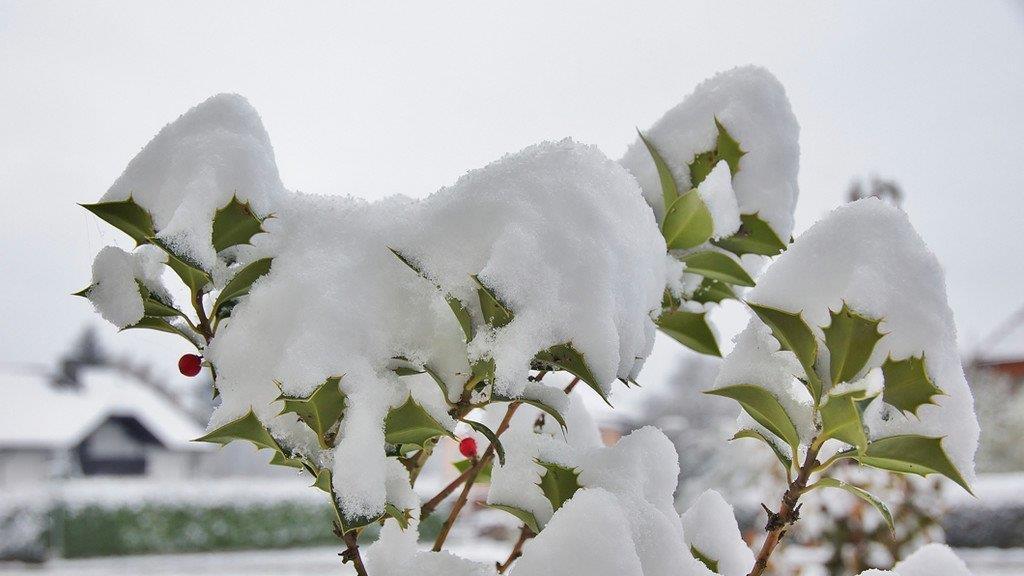 Winterwetter in Oberösterreich
