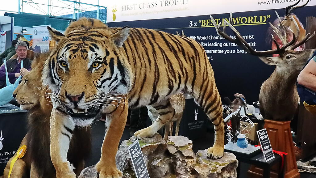 Hohe Jagd und Fischerei Messe