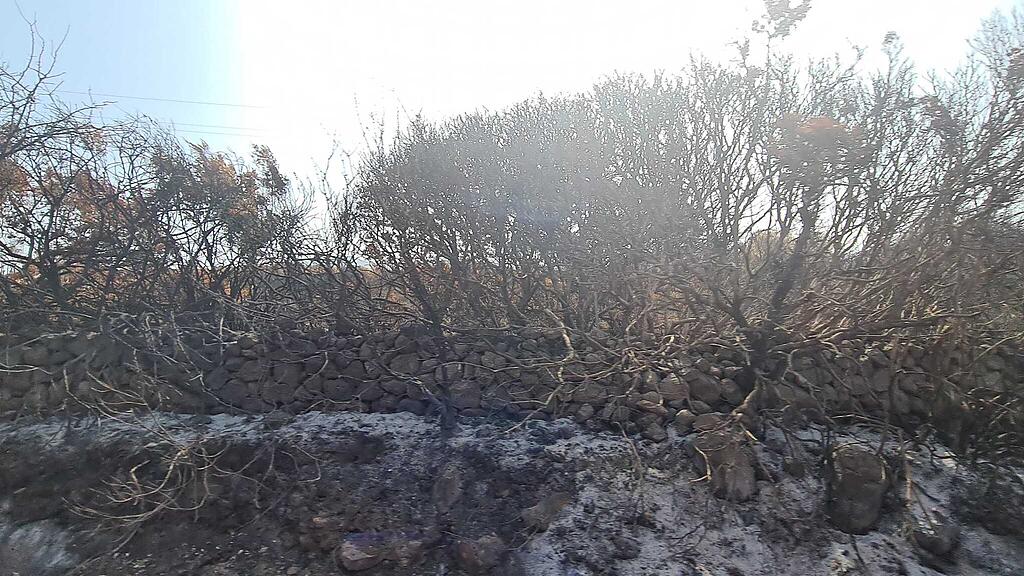 Br\u00e4nde im Westen Sardiniens in Cuglieri