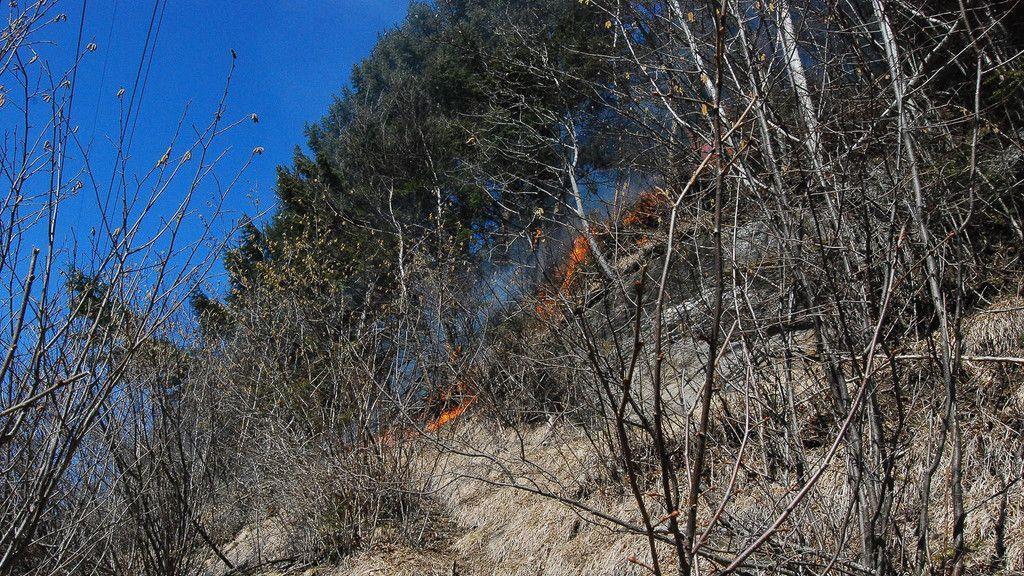 Waldbrand in St. Michael
