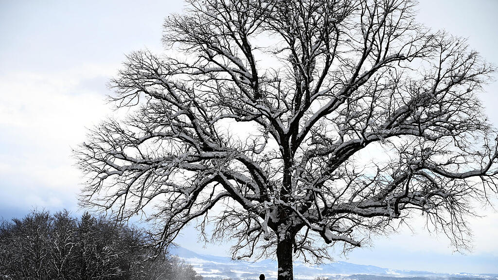 SB: Winterwetter, Winter, Schnee, Salzburg