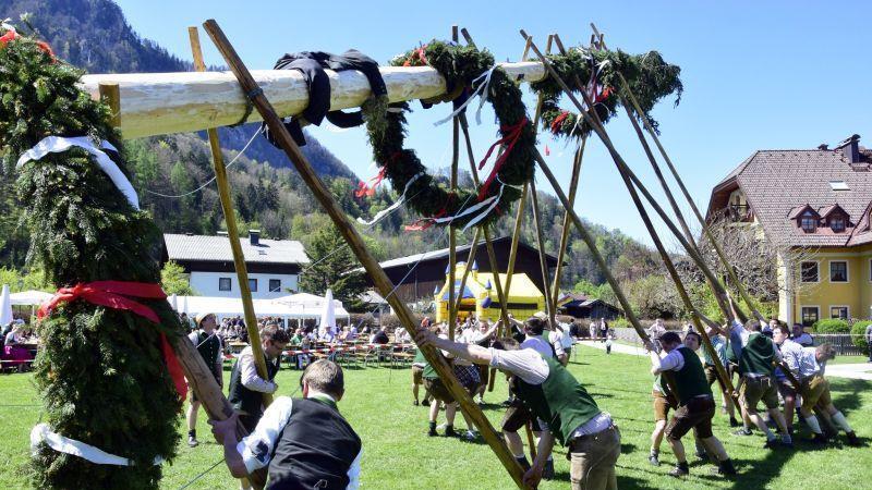 Maibaumaufstellen in Grödig
