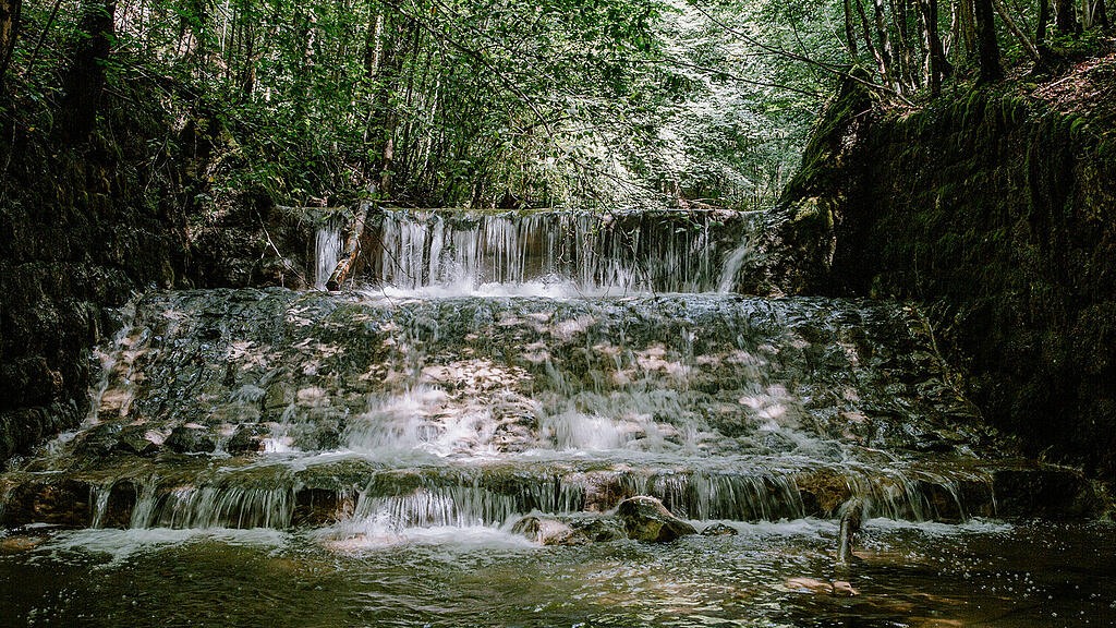 Alterbach, Gaisberg-10.jpg