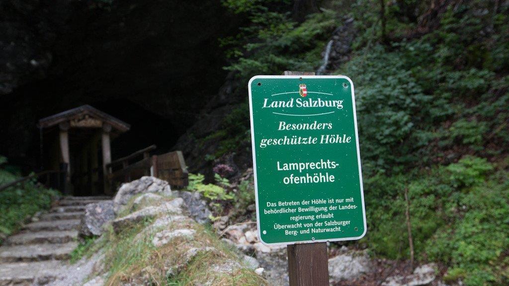 Bergung aus Lamprechtshöhle