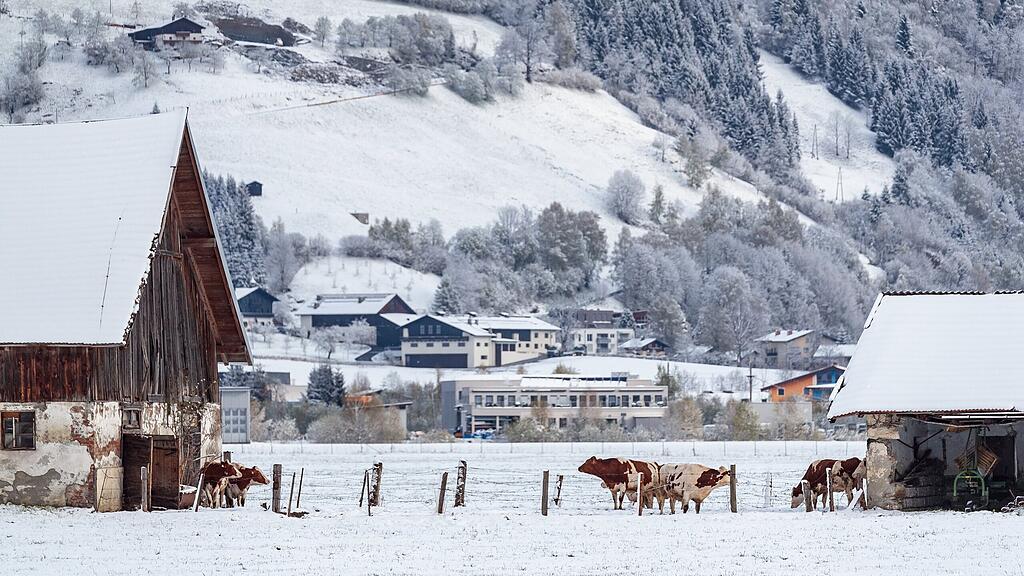 Dieses winterliche Panorama gibt es derzeit in Zell am See.