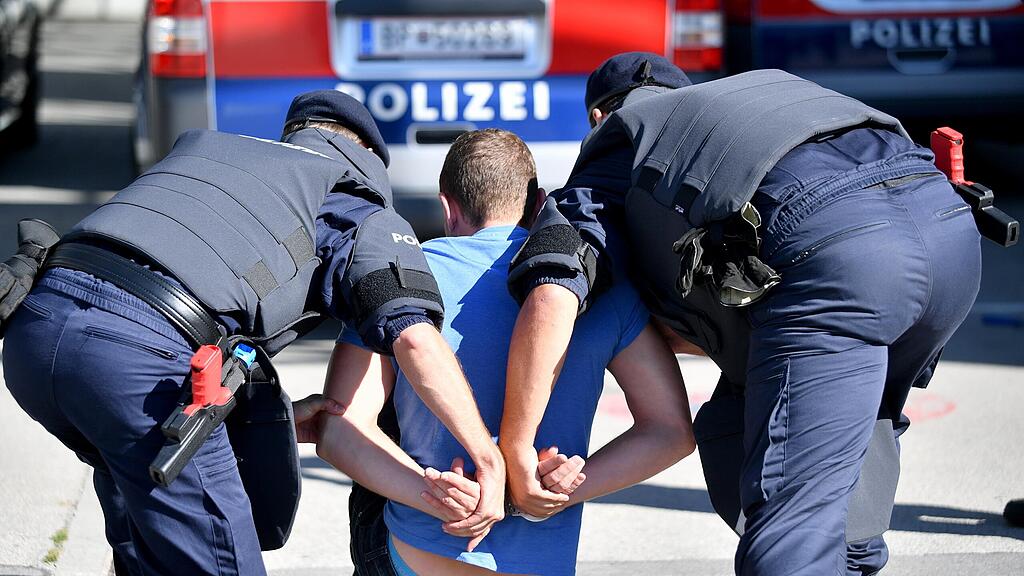 Der 28-Jährige wurde in die Justizanstalt Puch Urstein gebracht (Symbolbild).