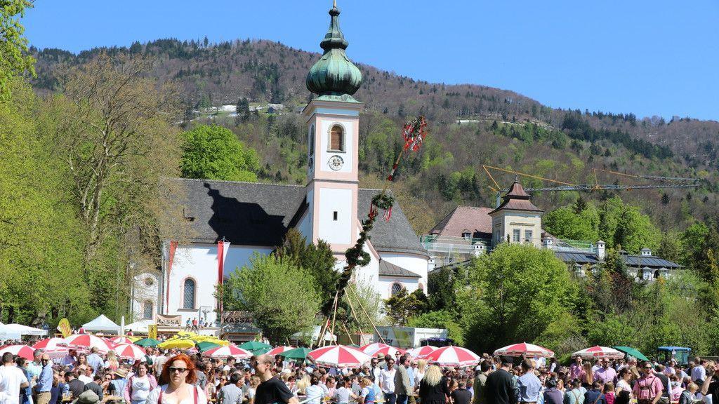 Maibaumaufstellen in Aigen