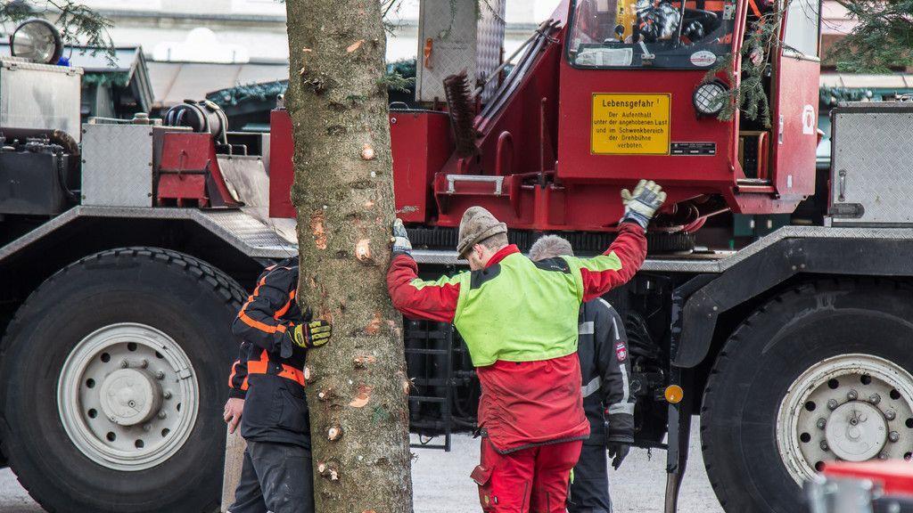 Christbaum am Residenzplatz I