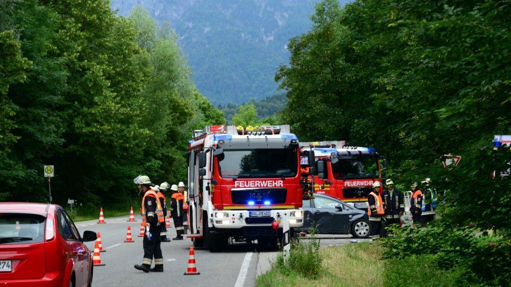 Pinzgauerinnen in Bayern verletzt, I