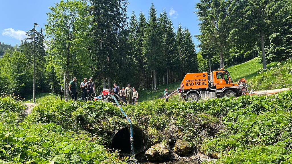 Waldbrand Bad Ischl