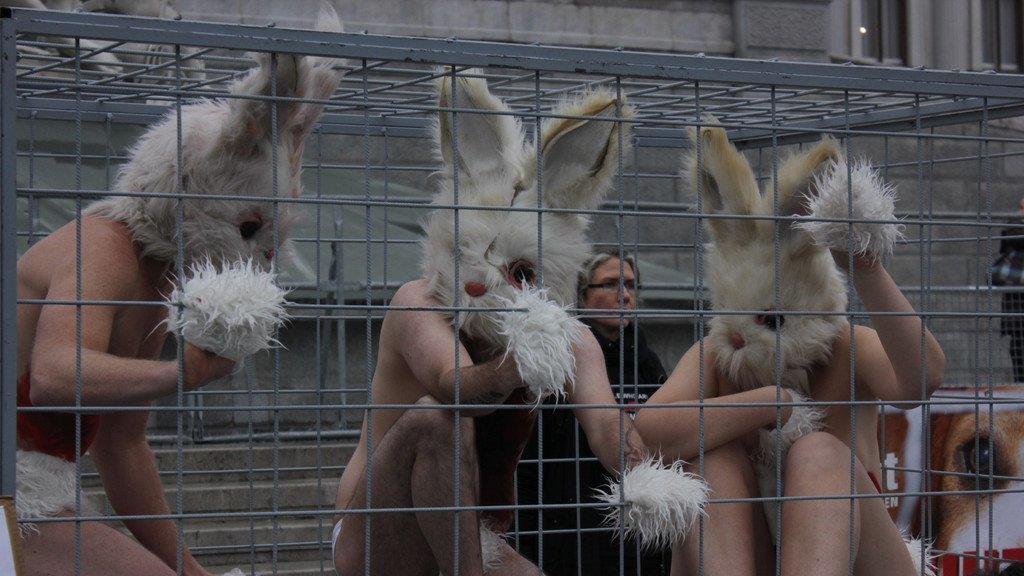 Tierschützerinnen protestieren nackt vor Parlament (Käfige)