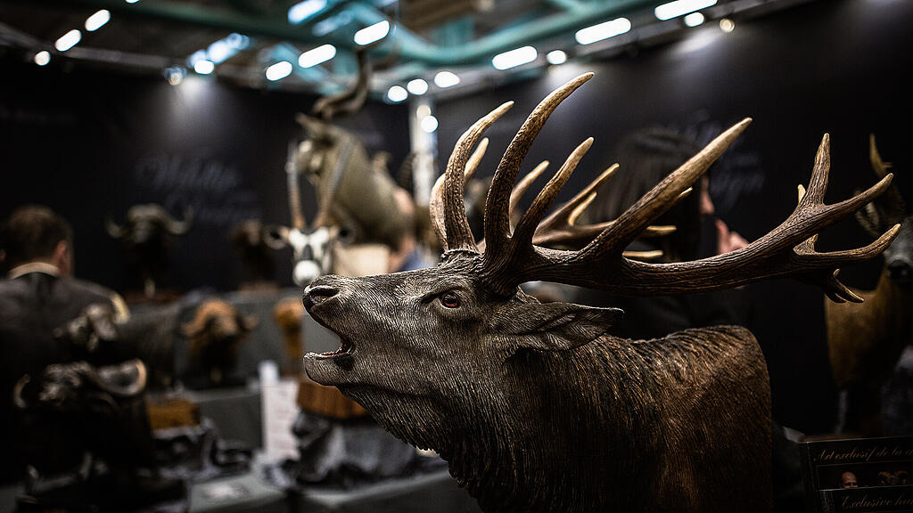 Hohe Jagd und Fischerei