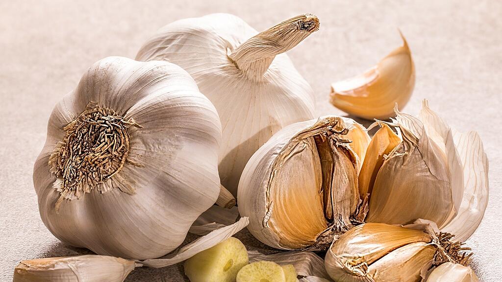 symb_knoblauch