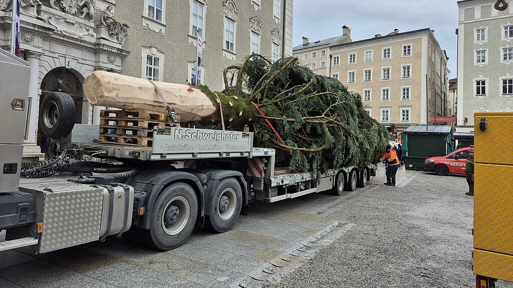 Christbaum am Residenzplatz