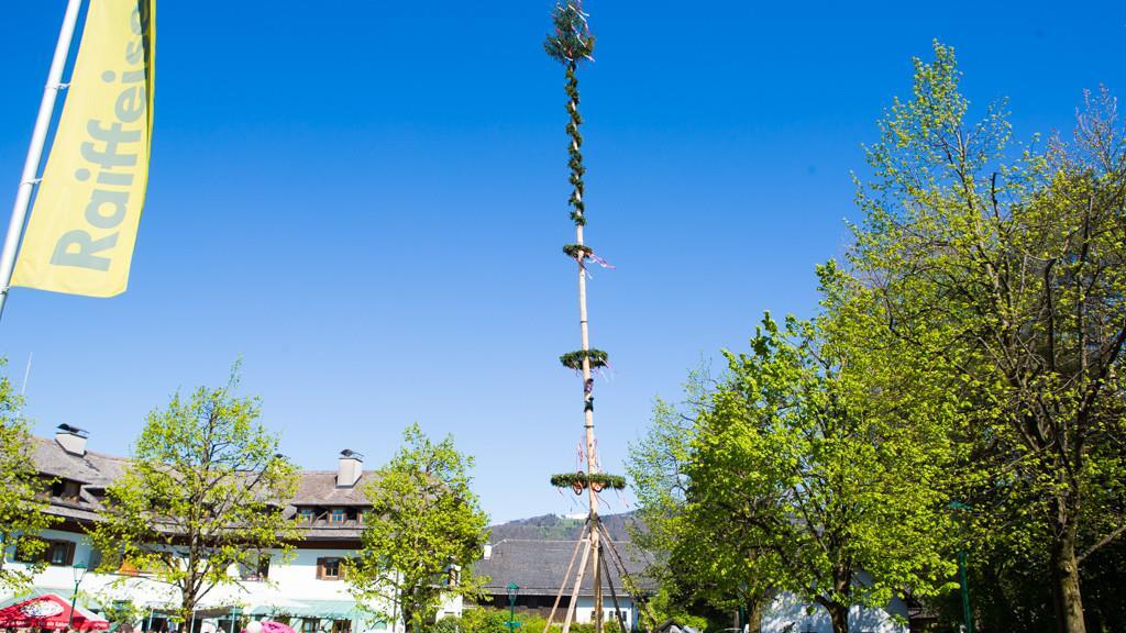 Maibaum in Anif