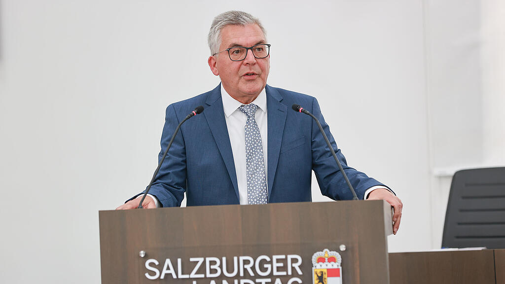 schwaiger hearing salzburger landesregierung
