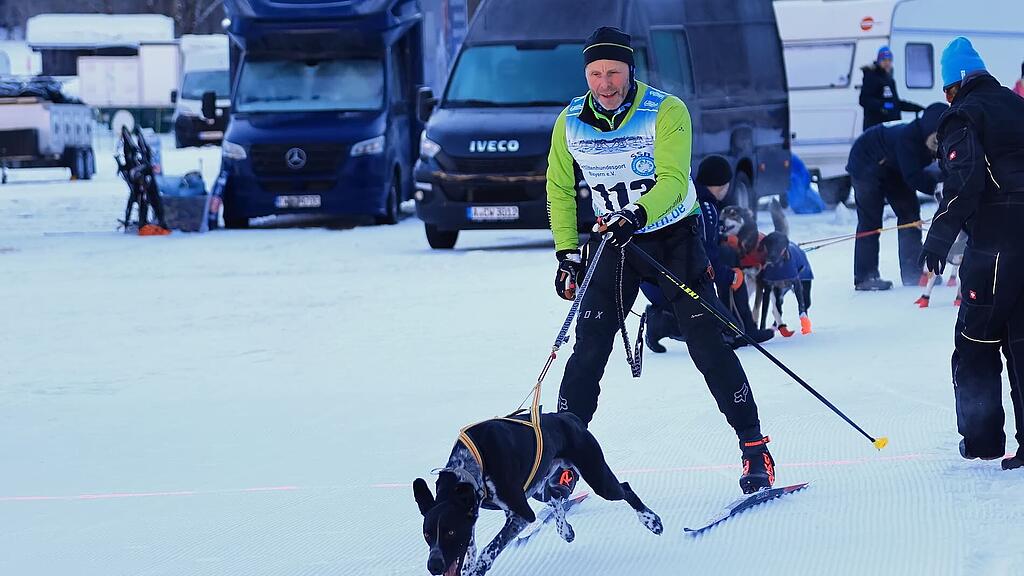 25. Hundeschlittenrennen in Werfenweng