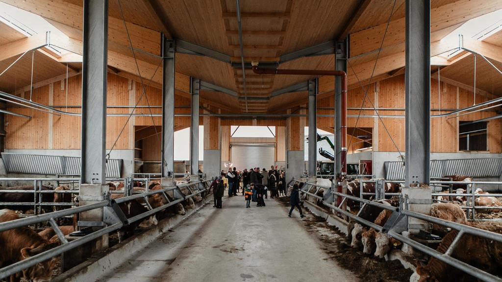 Friesachers neuer Stall in Anif