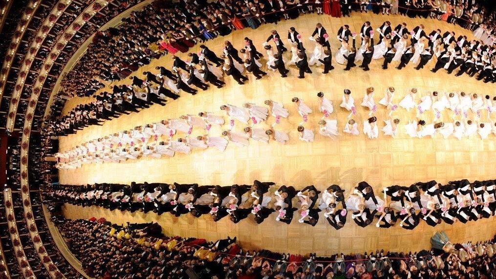 Opernball 2013: Debütanten