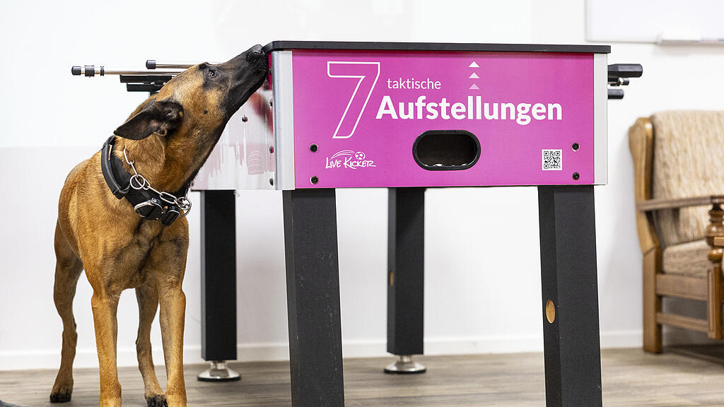 Datenspürhunde