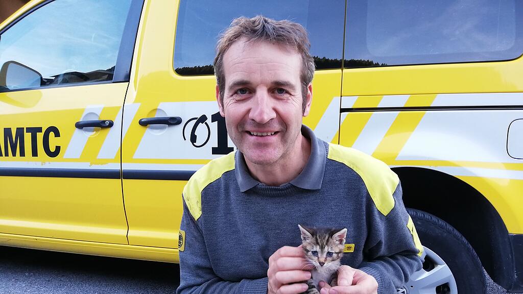ÖAMTC-Pannenhelfer befreit Katze aus Auto