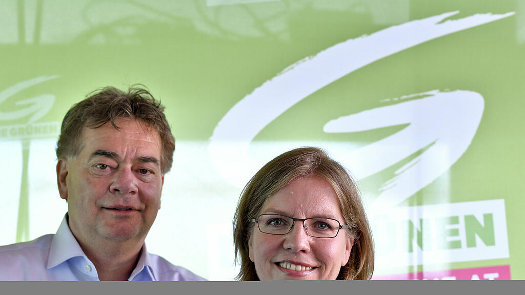 Leonore Gewessler, Werner Kogler, Grüne, SB