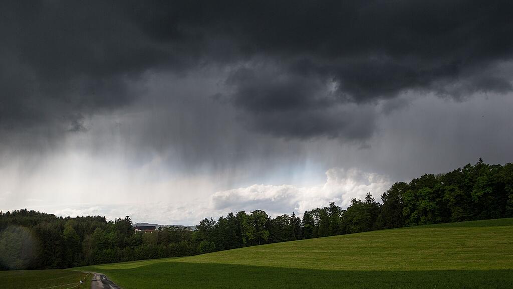 Die Meinungen über den diesjährigen Sommer gehen auseinander (Symbolbild).