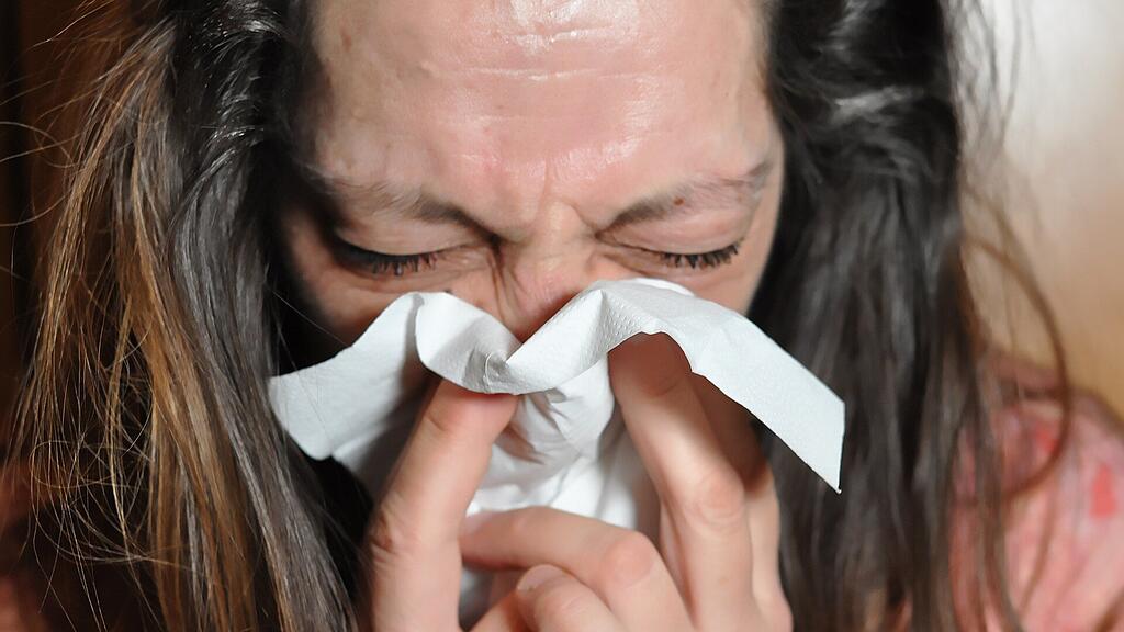 sniff-g7ccfa3e3f_1920.jpg