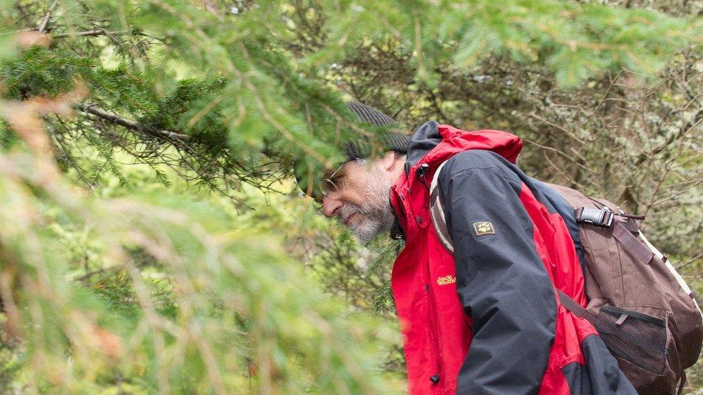 Bilder der Bärensuche im Lungau