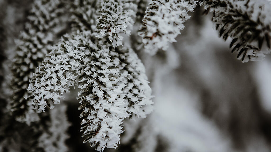 Schnee