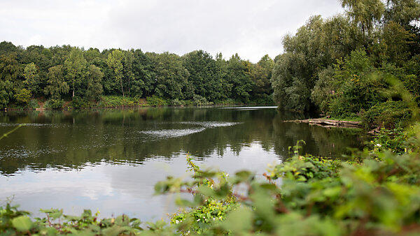 Anakonda in See in Meerbusch gesichtet