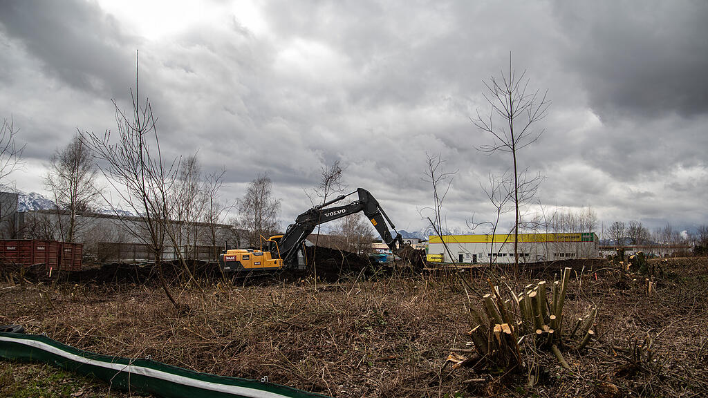 Schallmoos, Bagger, Biotop, Weiss