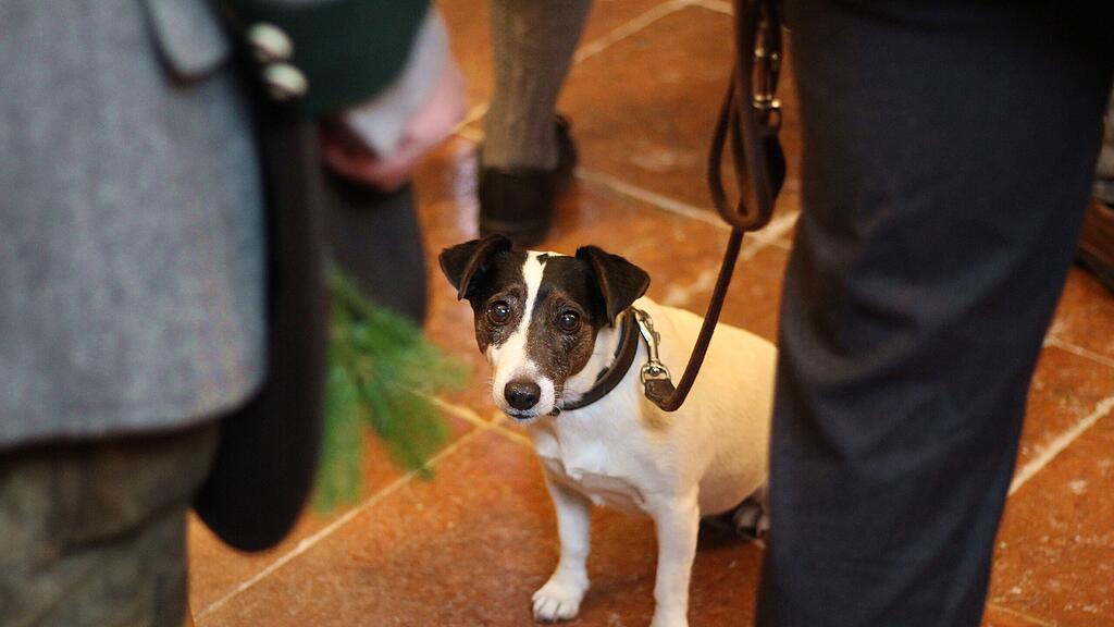 Jägerwallfahrt und Fahnenweihe des Salzburger Jagdschutzverbandes