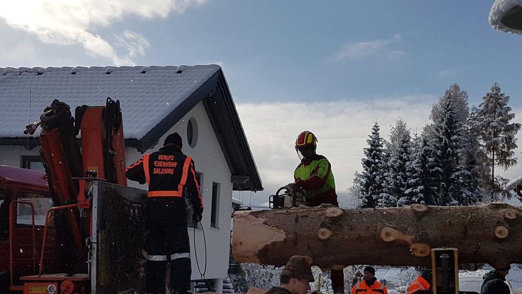 Baumfällen Mariapfarr