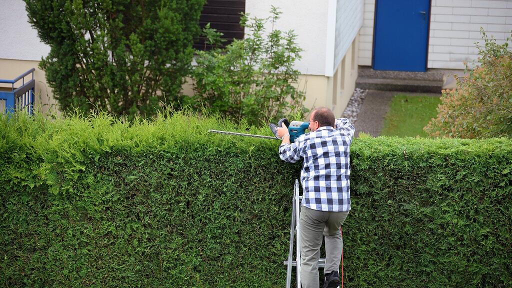 Ein Streit unter Nachbarn wegen einer Thujen-Hecke ist am Freitag in Eugendorf eskaliert.