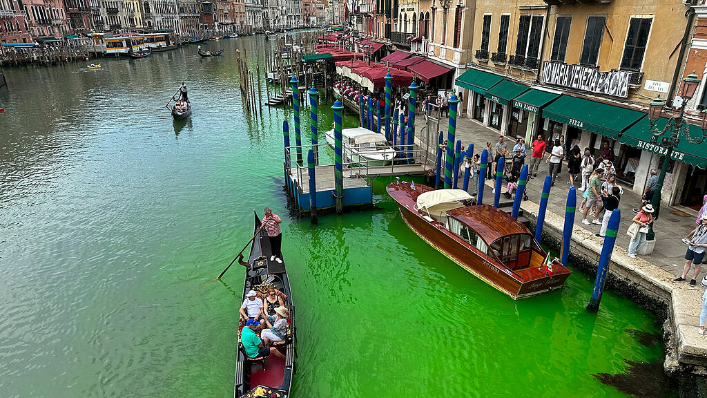 Grüner Canale Grande in Venedig