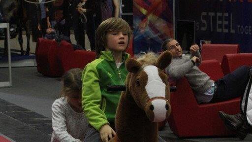 Mevisto Amadeus Horse Indoors 2014 in der Salzburgarena