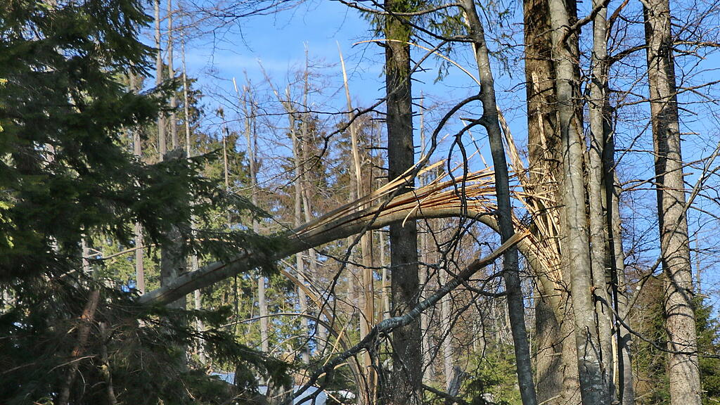 Gaisberg Rundwanderweg, Sperre, Sch\u00e4den
