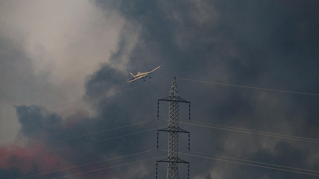 Israel, Feuer, Waldbrand
