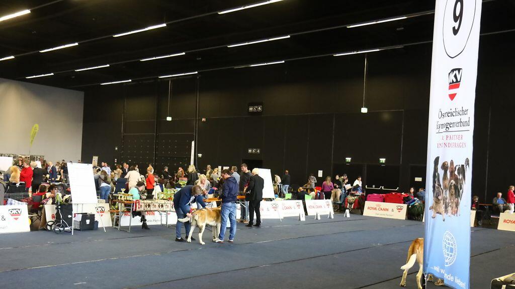 Hunde-Messe in Salzburg