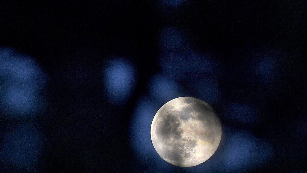 mond...jpg