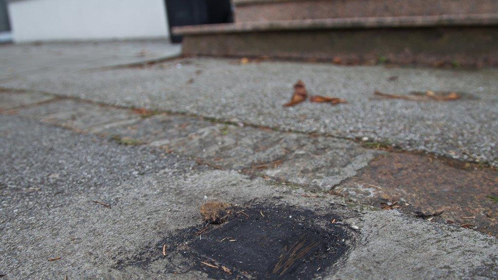 Erneut Stolpersteine in Salzburg beschmiert