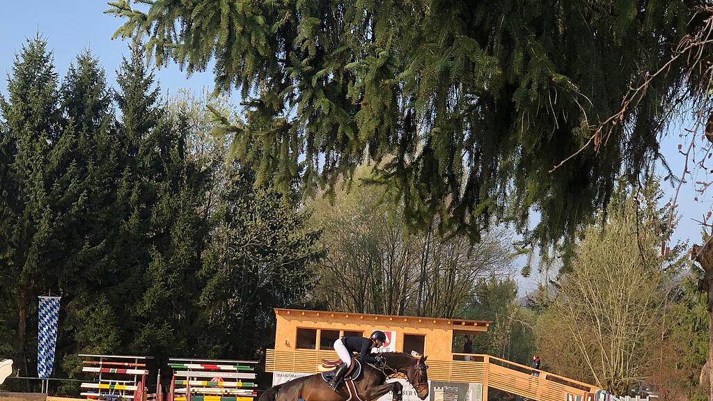 Springturnier beim Reitclub Elixhausen im April 2021