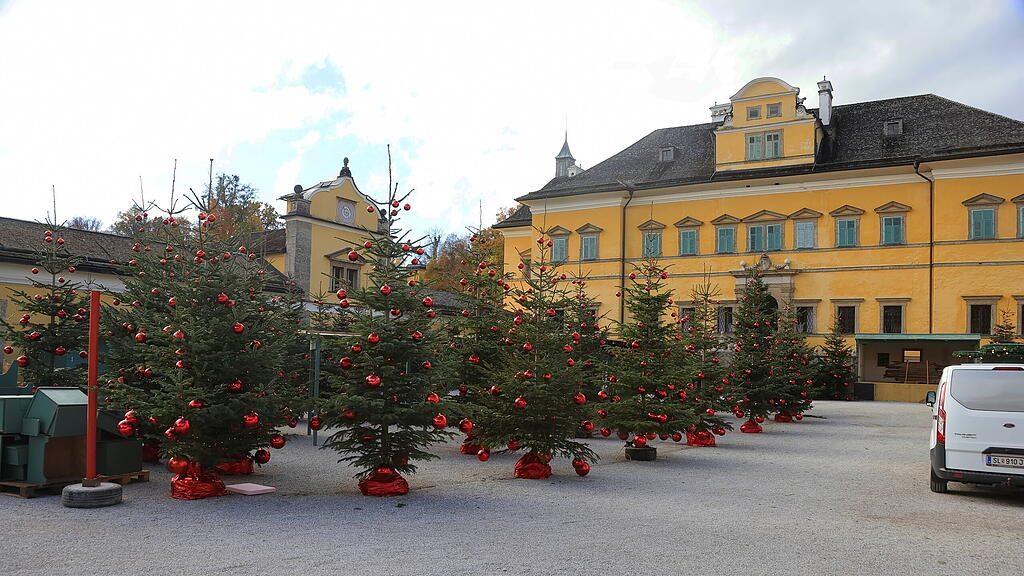 Aufbau Adventzauber Hellbrunn