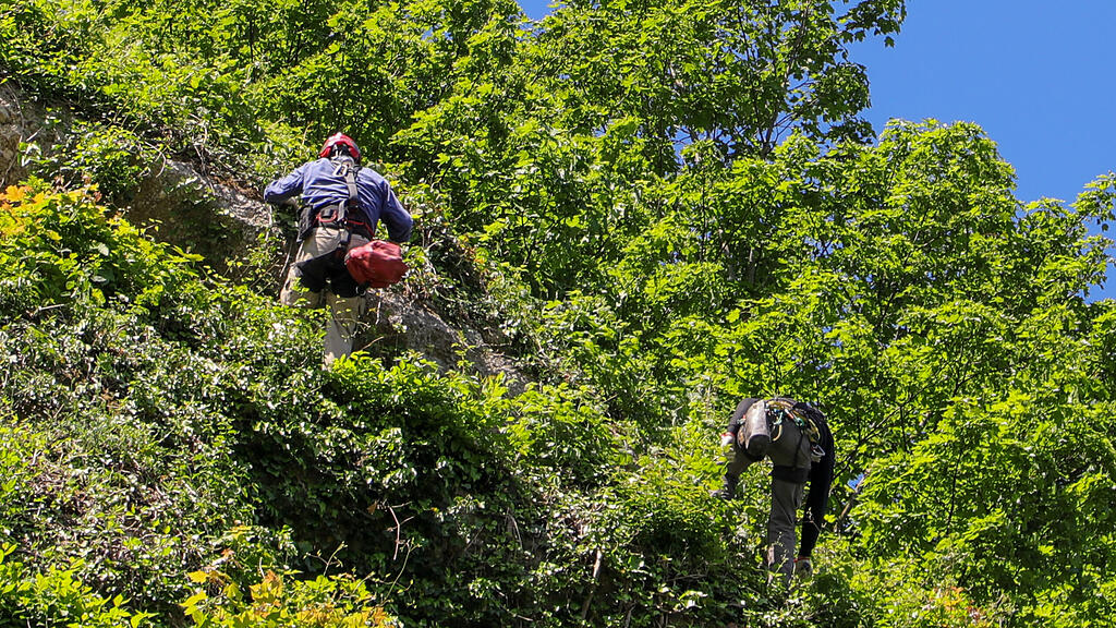 Bergputzer am Mönchsberg